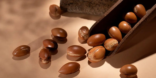 Arganöl (Argania Spinosa Kernel Oil / Argan Oil)